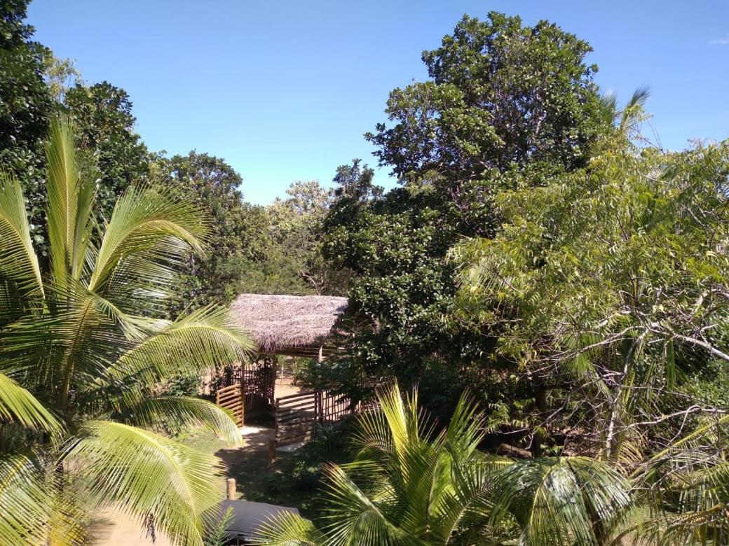 Home In The Island 탕갈레 외부 사진