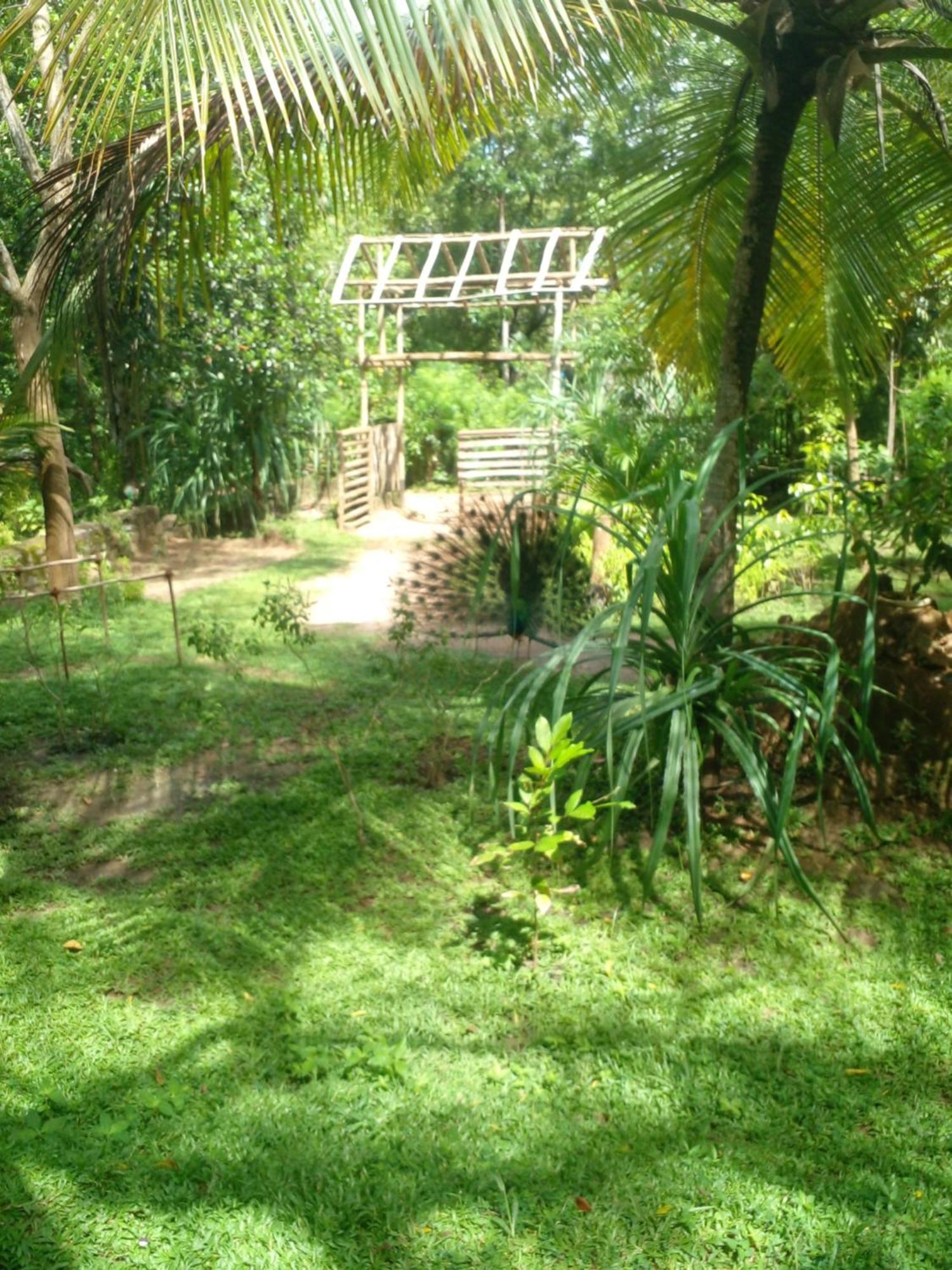 Home In The Island 탕갈레 외부 사진