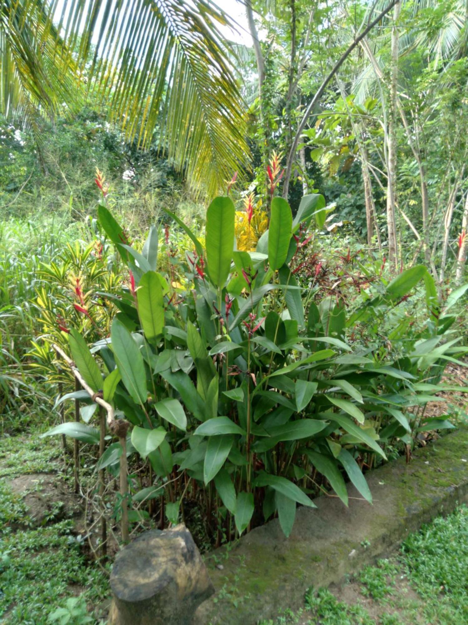 Home In The Island 탕갈레 외부 사진
