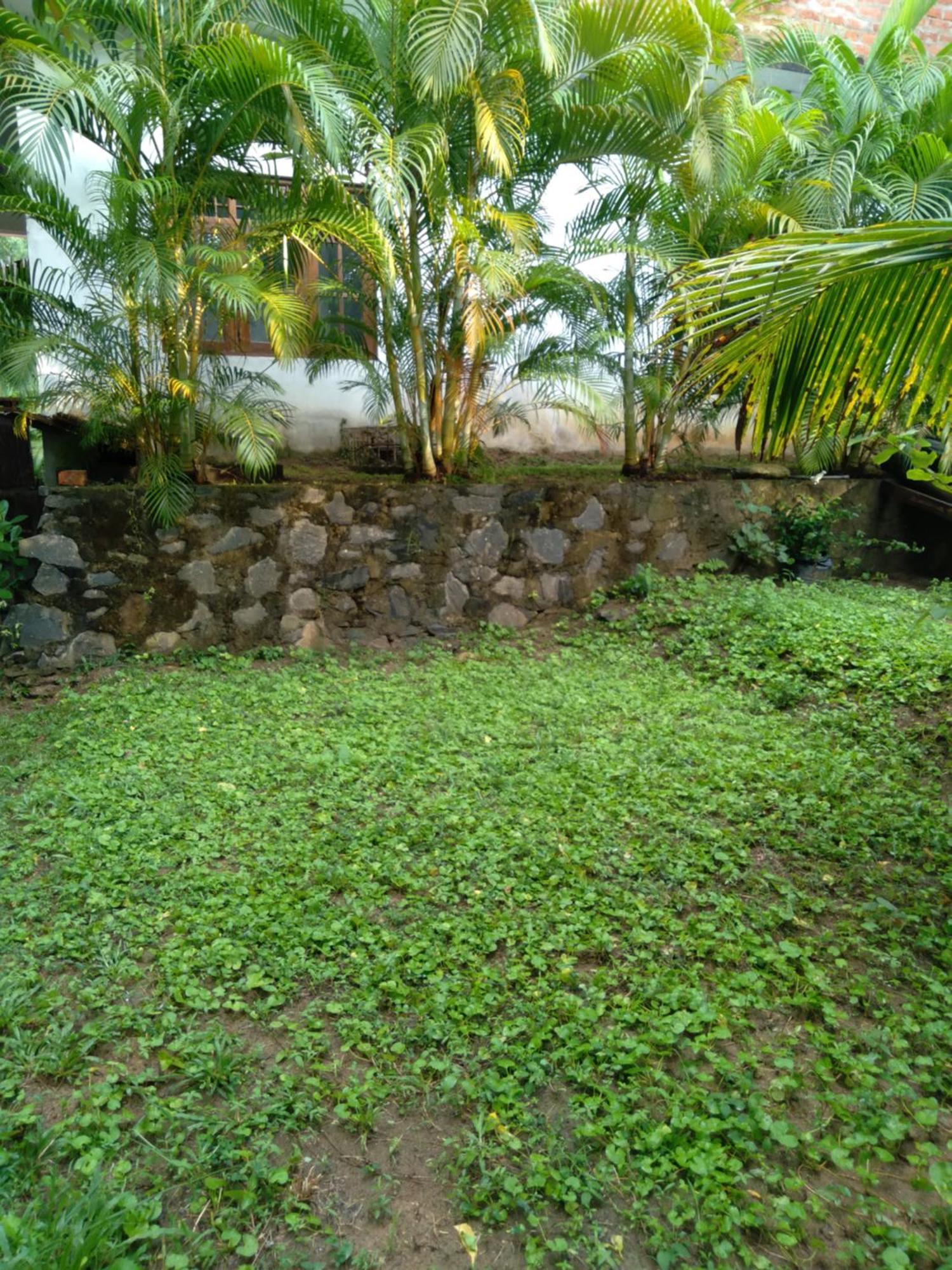 Home In The Island 탕갈레 외부 사진
