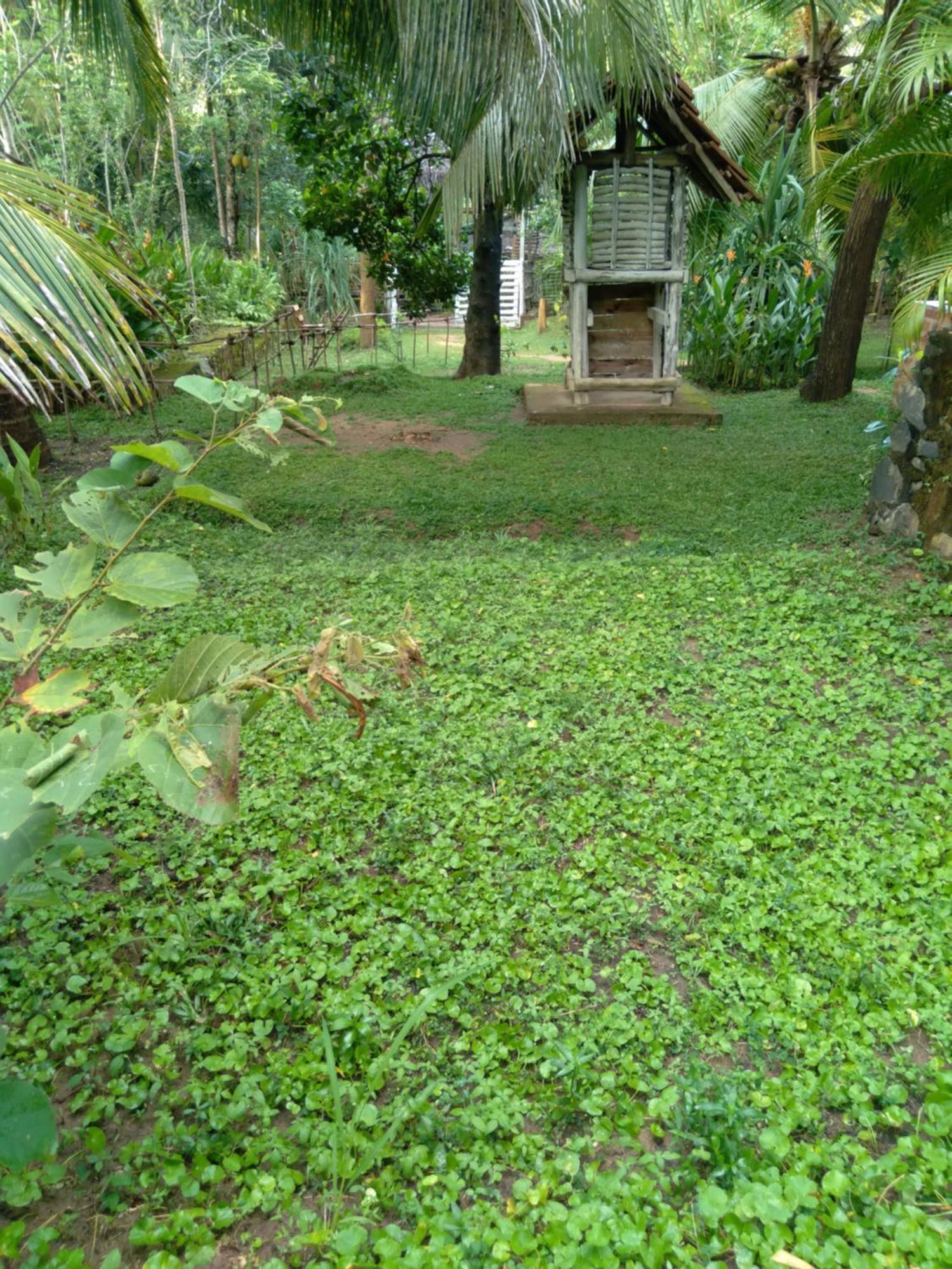 Home In The Island 탕갈레 외부 사진