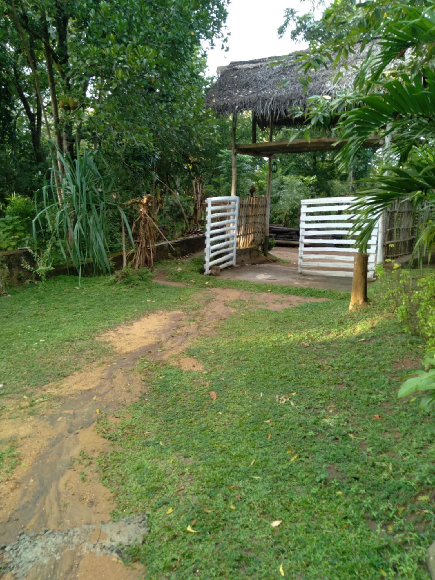 Home In The Island 탕갈레 외부 사진