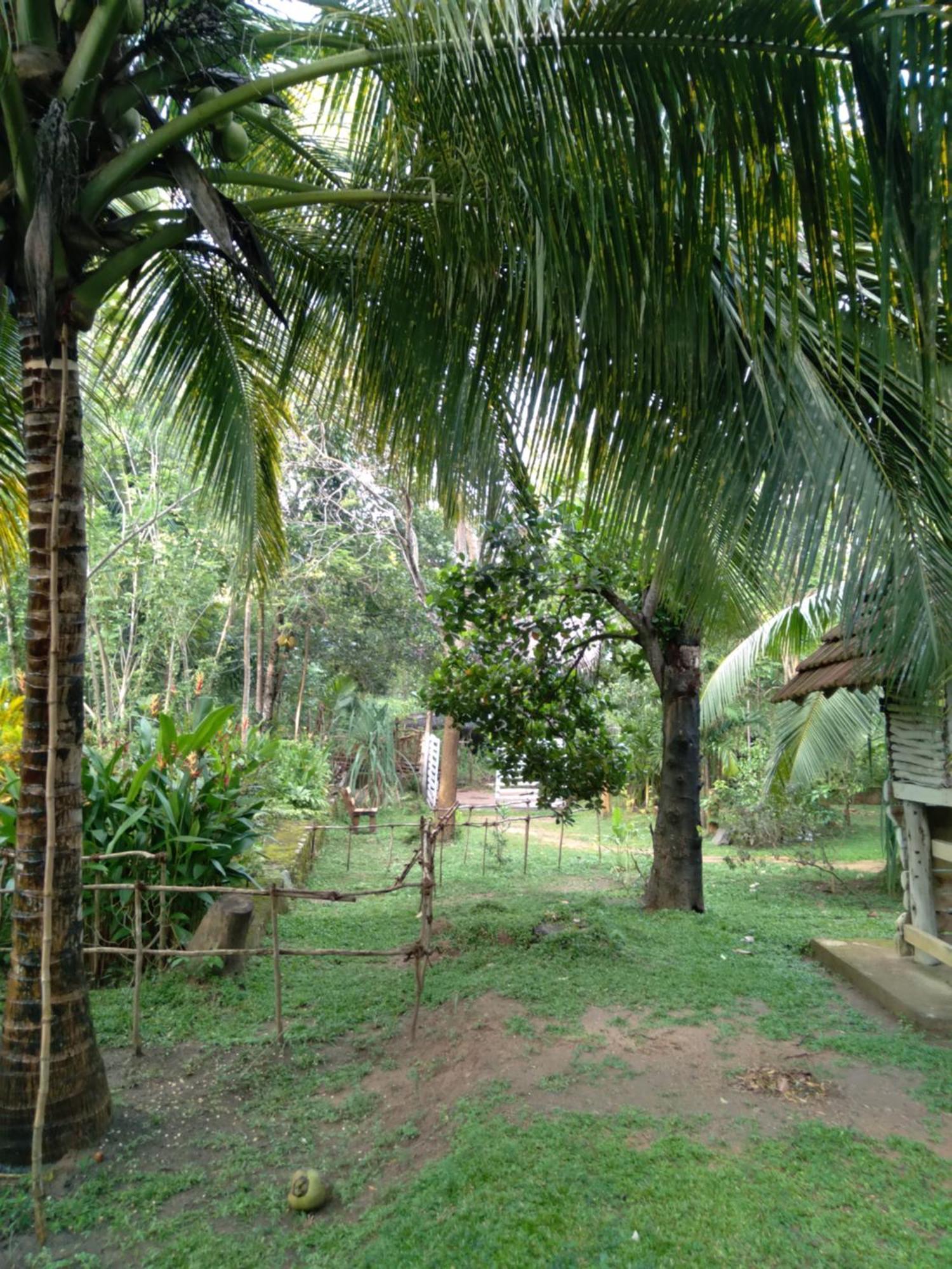 Home In The Island 탕갈레 외부 사진
